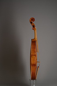 Violin_2-02
