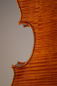 Violin_1-02