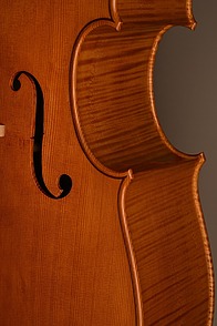 Violin_1-05